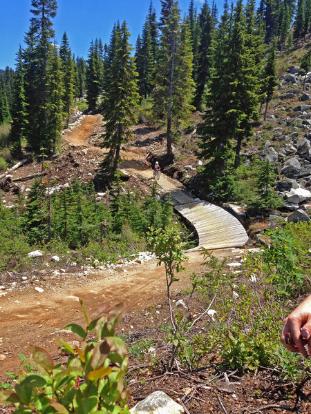 Watching the awesome 10 year old girl ride the intermediate flow trail.