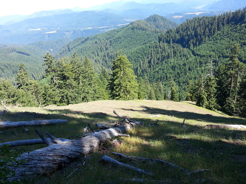 Meadow after Windy Pass.