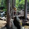 Stone Creek Bridge