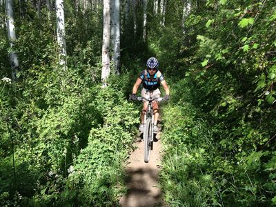 Dense forest on Eagle Vail Trail