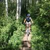 Dense forest on Eagle Vail Trail