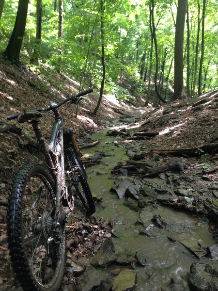 Sections of riding down the creek paralleling Falls Ravine are good fun