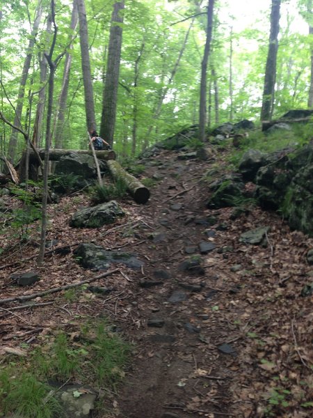 Wet rocks, fun.