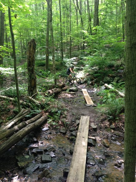 Crossing the planks.