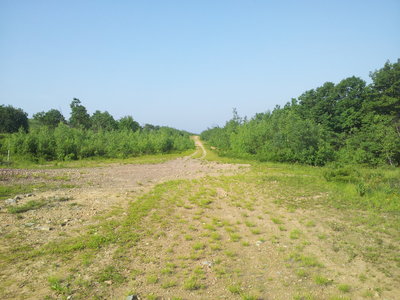 Top of Main Street