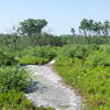 The trail crosses some slabs