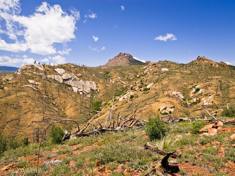 A partial survivor - Raleigh Peak (far background).  Its summit is actually part of the burn line.  The Colorado Trail loops just behind the peak among the unburned terrain.