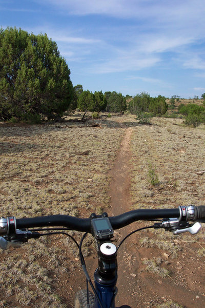 Watch for elk, jackrabbits and cottontails out here!