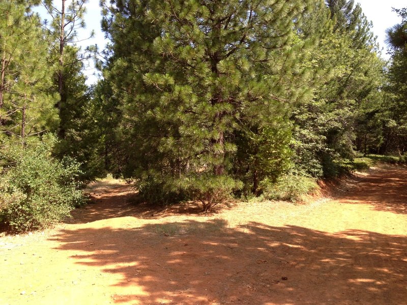 Confusion, take trail on left both of these go back but left is Singletrack.