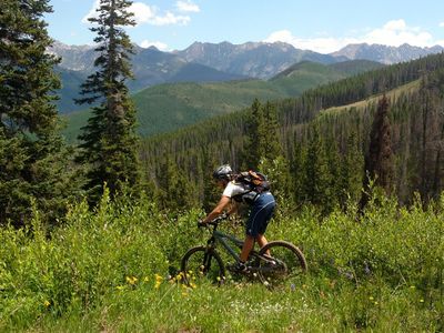 The top of Fred's Lunch
