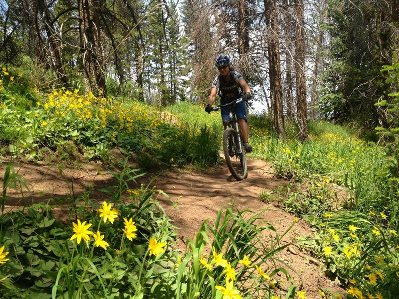 Flowers on Fred's