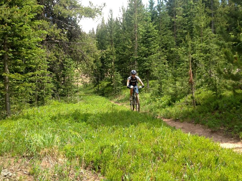 Smooth, pretty flat, easy riding on Lucy's Loop