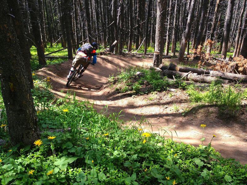 Radio Flyer - showing off what machine-made downhill flow trails are all about!