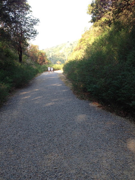 Looking back at the trail that you just came up.