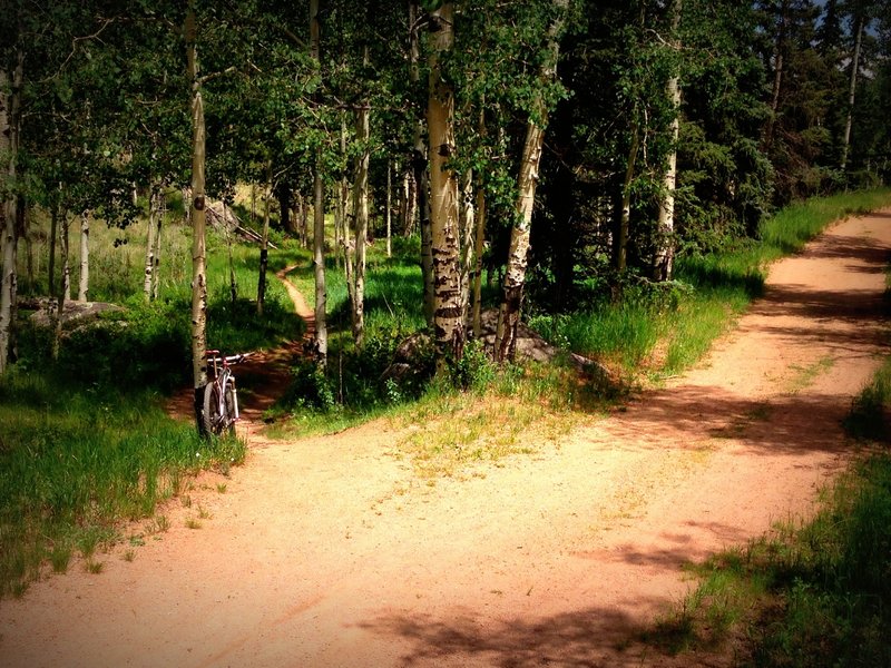 A nice ribbon of singletrack parallels the road.