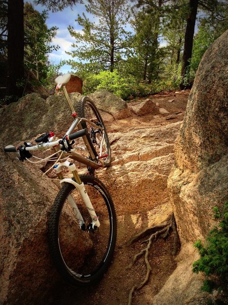 Rocky obstacles like this are somewhat frequent especially near the northeast and south shores of the reservoir.  Great for advanced riders and easy to walk for the rest of us.