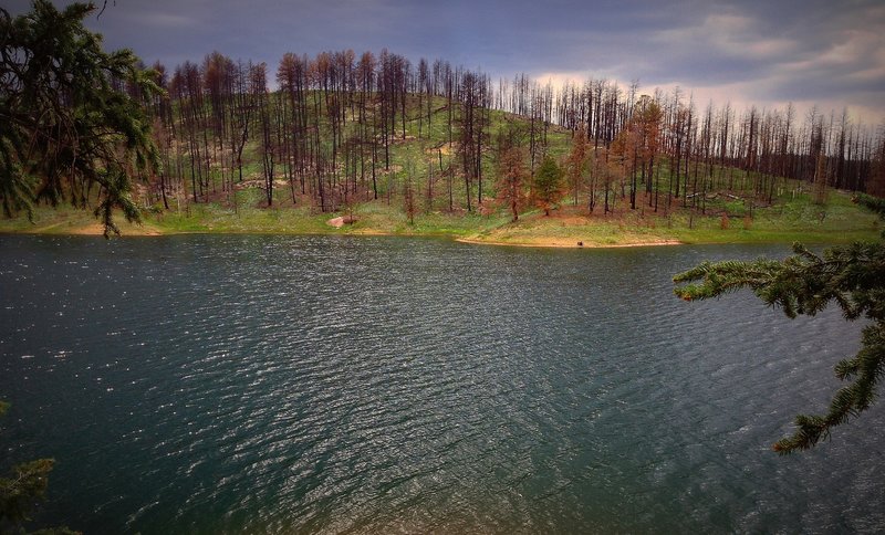 View of a burned hillside from across a finger of the reservoir.