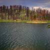 View of a burned hillside from across a finger of the reservoir.