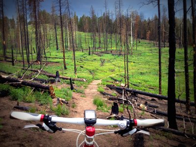 Riding through the burn is actually a cool experience.
