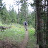 Classic high alpine singletrack as the flowers try to hold on a few more days.