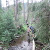 Crossing Blackwater Creek. Sometimes you can keep your feet dry, and sometimes you can't.