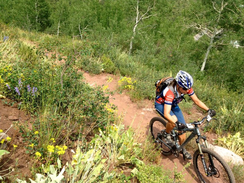 Good wildflowers in this sunny section.