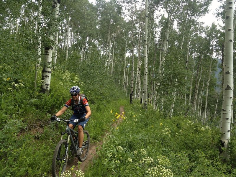 Over the big climb, you enter cool, flatter forested terrain.