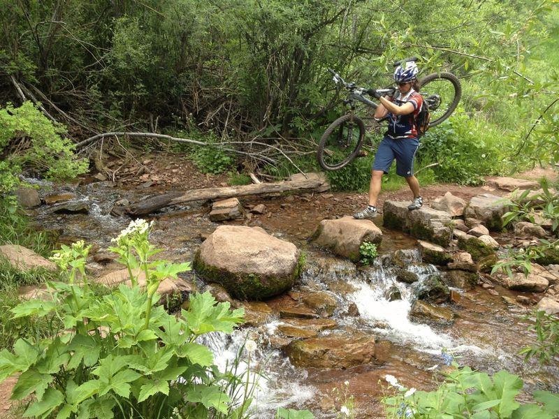 Crossing Buffehr Creek