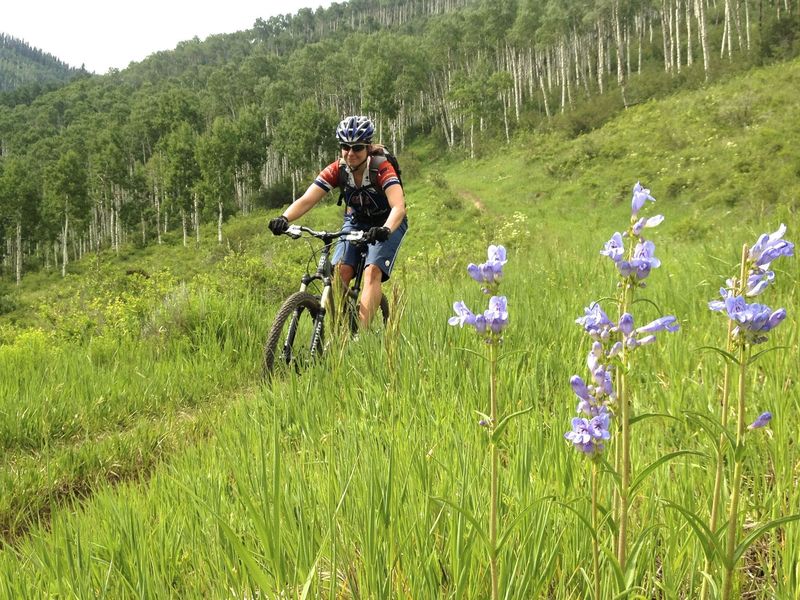 Tired of aspen forest?  How about a meadow with wildflowers?