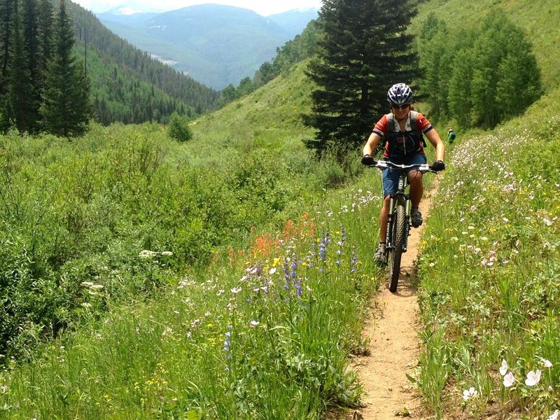 Wildflowers in July