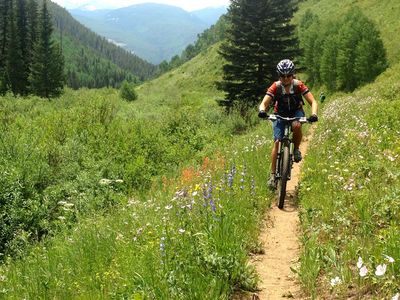 The Rake 2 Mountain Biking Trail - Horashim