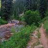 The grade on the trail isn't too steep. It is fast to ride this trail both ways.