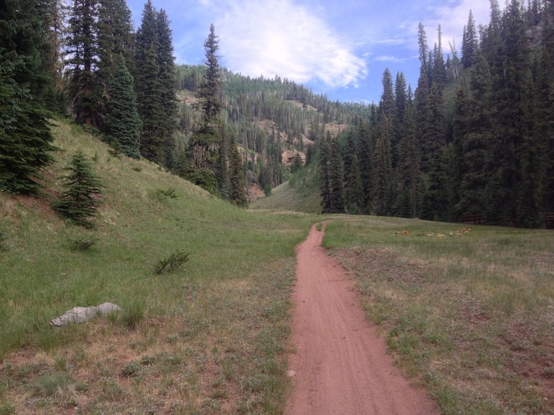 The trail is a bit sandy and loose in places.