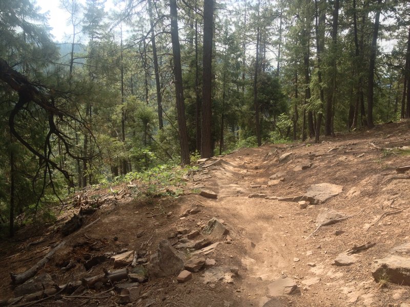 Trail is a bit rocky on the switchbacks but not too bad