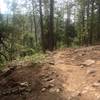 Trail is a bit rocky on the switchbacks but not too bad