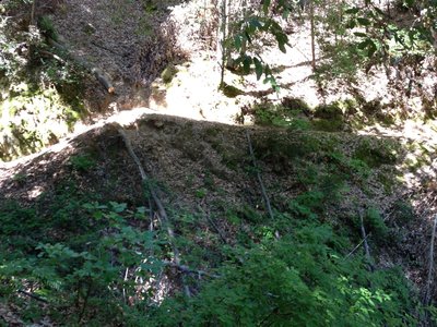 Exposed Edge ST Typical on trail