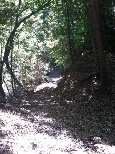 Entire Trail Along Lake is Covered