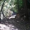 Entire Trail Along Lake is Covered