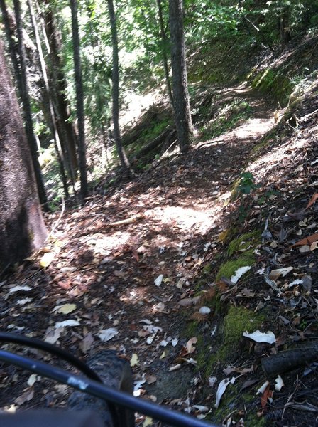 Trail is Sketchy in this area