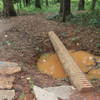 log skinny over a hole, lots of rain lately