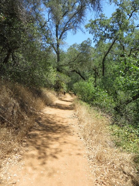 Hidden Falls Access Trail