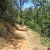 Hidden Falls Access Trail