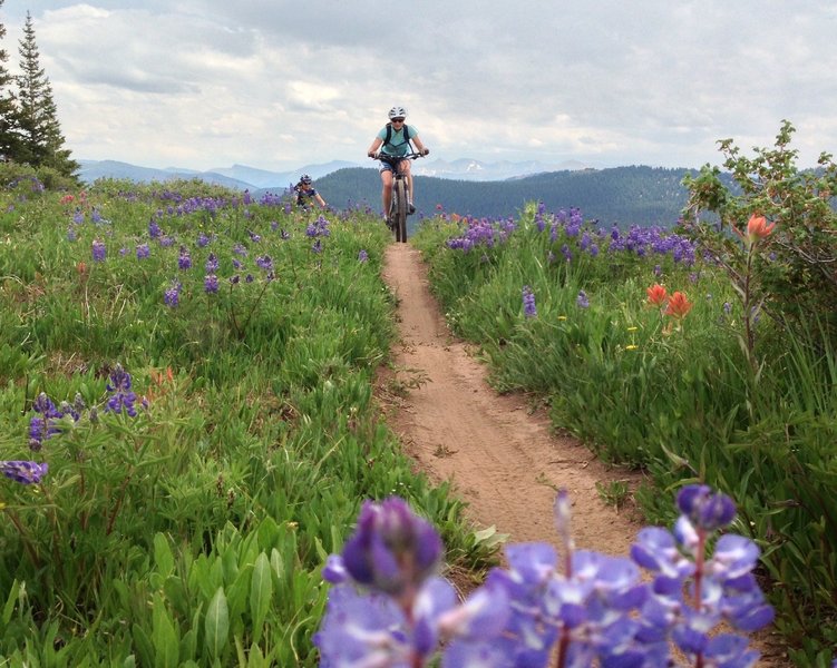 Wildflower season makes this ride even closer to perfect.