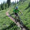 The fast flowy sections prior to the sustained climb along Guler Creek