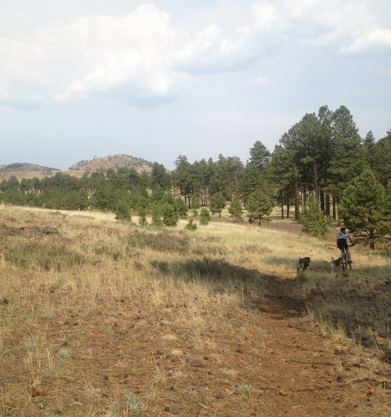 On the AZ trail north of the peaks