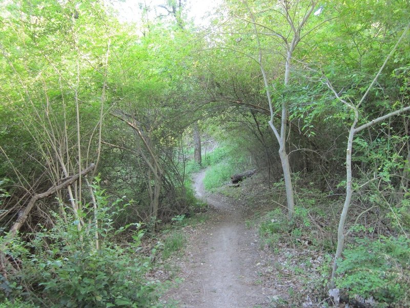 Gateway Park features super flowy singletrack like this