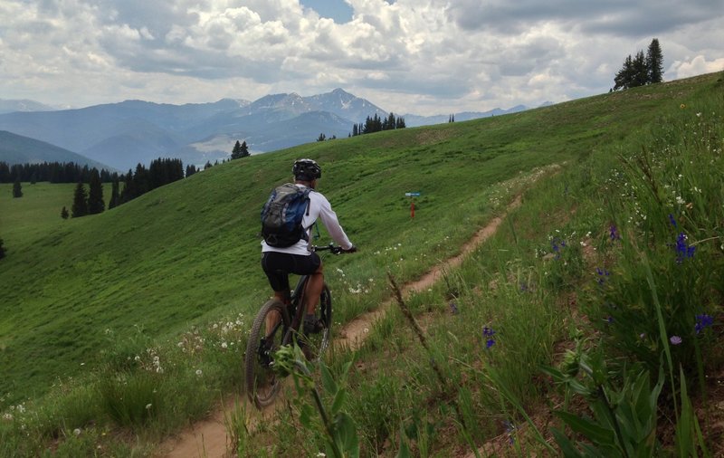 Cruising along Ptarmigan ridge.