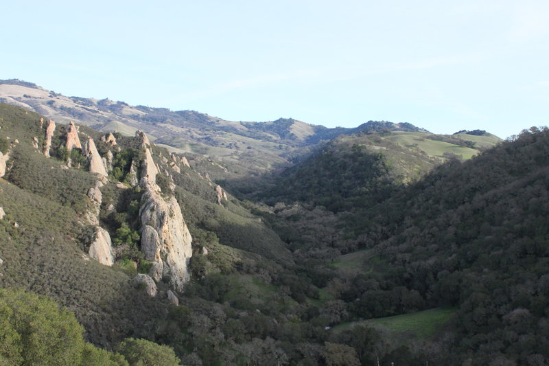 View up Pine Canyon. The ridge at the end is BBQ terrace. Stage Road heads right along the line of trees up the middle. Awesome climbing on the Rocks to the left. (http://www.mountainproject.com/v/pine-canyon/105734096)