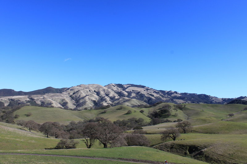 Mt Diablo - zoom in on the ridge right in the middle and you can see Burma Rd. trail switching back and forth down the ridge - an amazing descent 1400 ft in a little over 2 miles