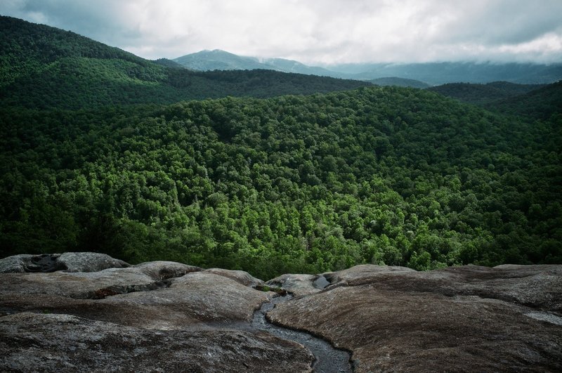 View from Pilot Cove